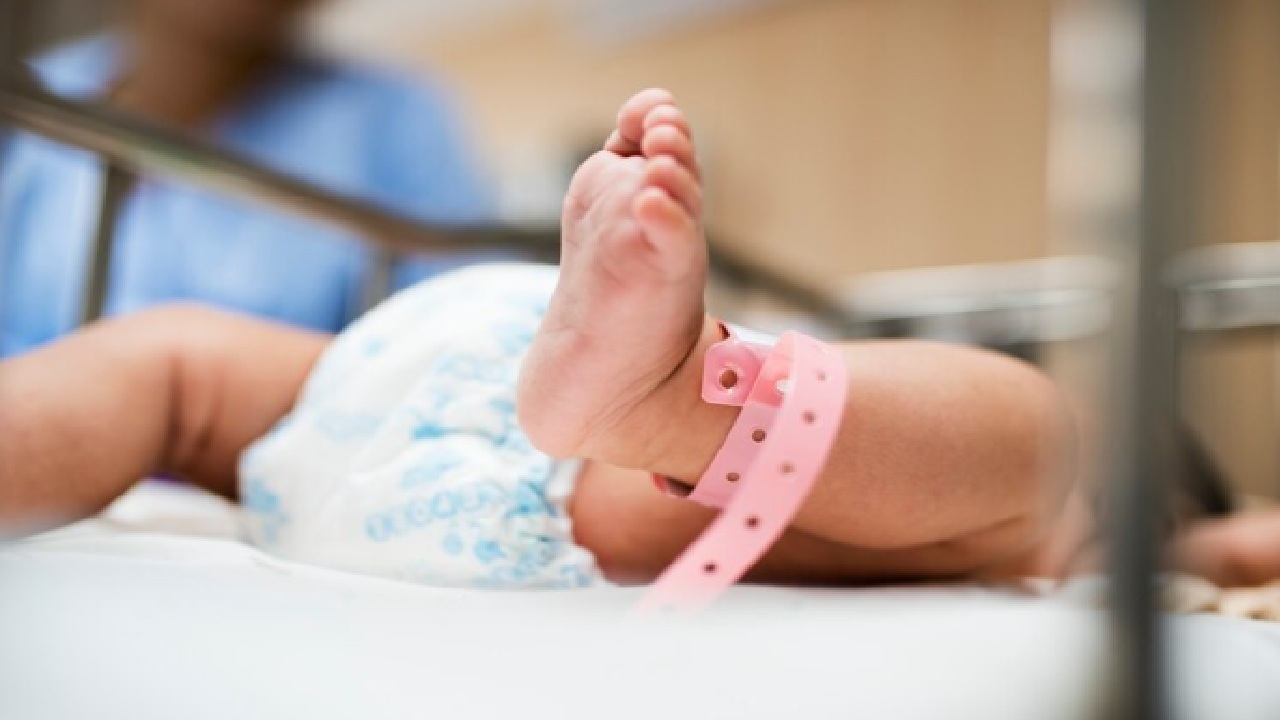 Anak Lahir di Luar Nikah Siapa Wali Nikahnya Menurut Ustadz?