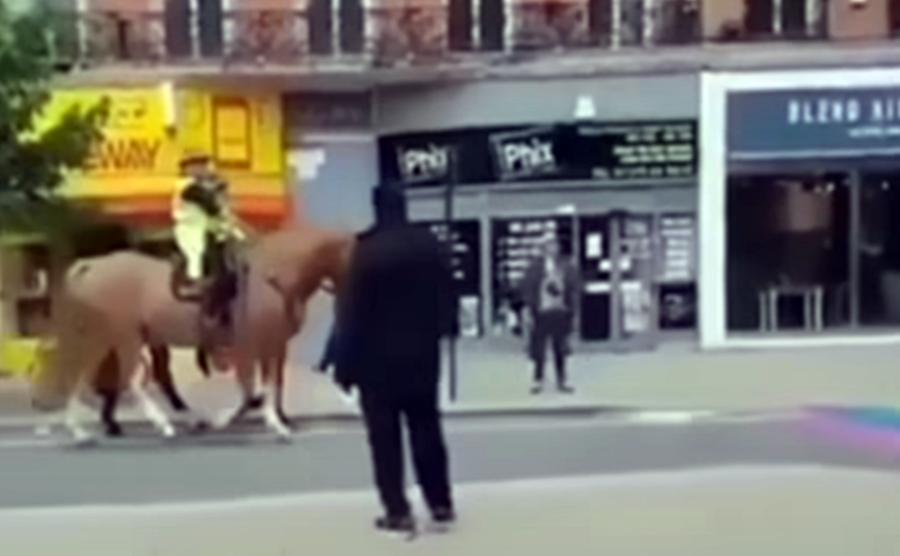 Viral! Kuda Bertingkah Aneh, Seakan Muak Saat Melihat Simbol LGBT