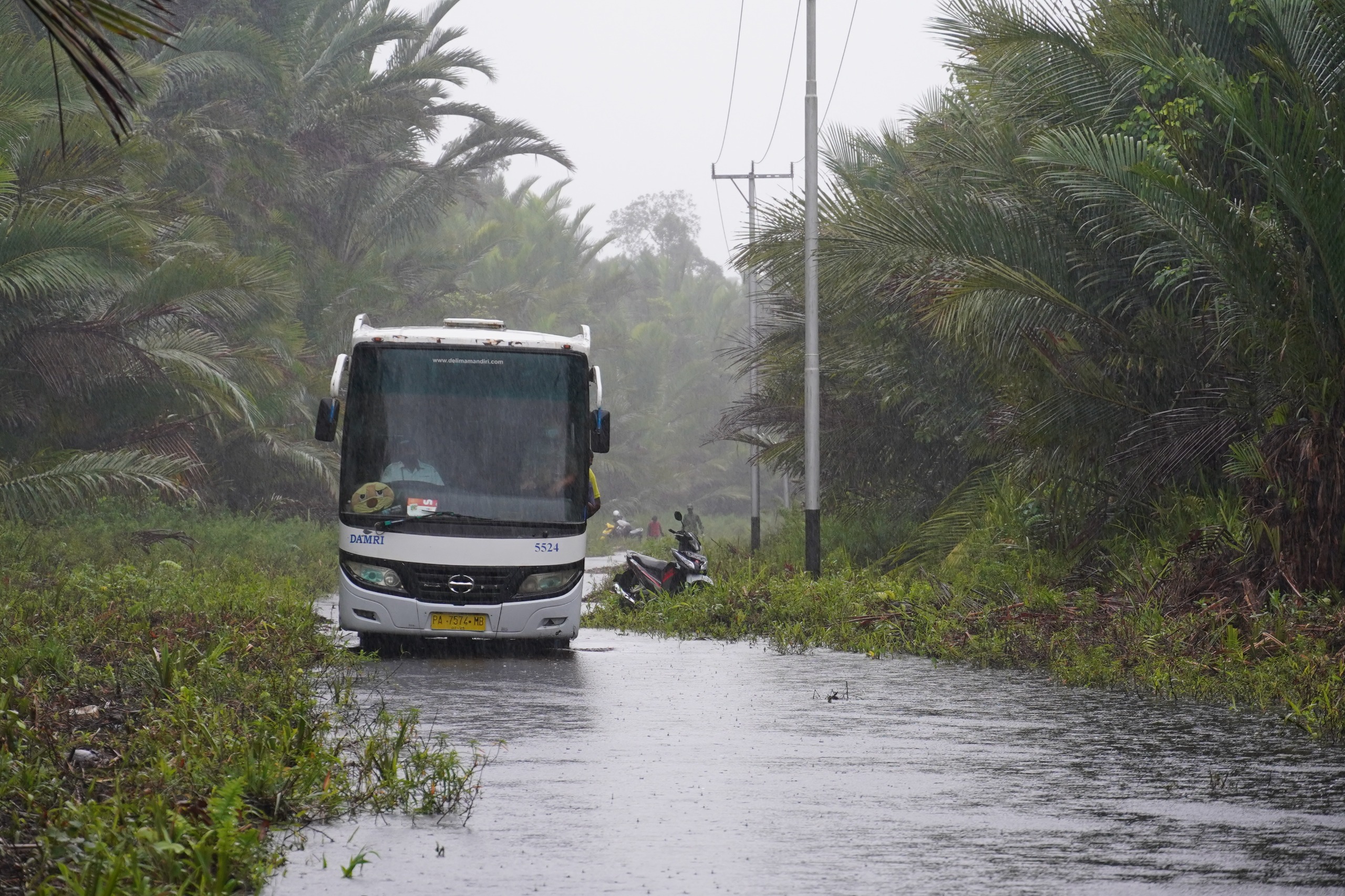 Angkutan Jalan Perintis Layani 322 Trayek di Daerah 3TP, Tersebar dari Aceh Hingga Papua