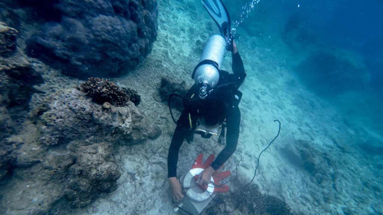 Hari Bumi 2025, Telkom Lakukan Konservasi Lingkungan Serentak di 4 Titik Lokasi di Indonesia