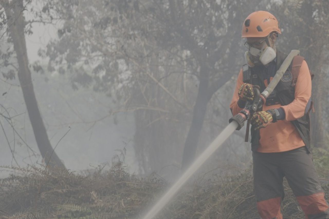 Pemerintah Optimalkan Operasi Modifikasi Cuaca di Kalimantan, Armada Udara Ditambah 