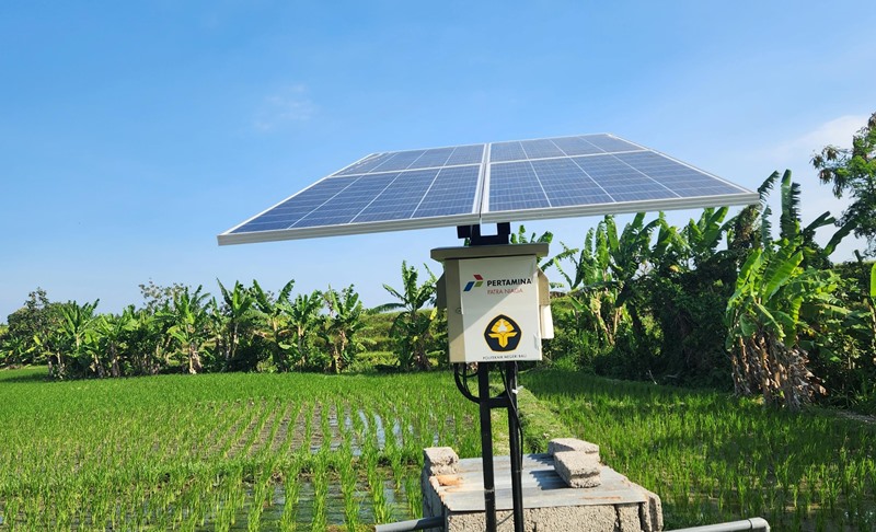 Pertamina Kembangkan Energi Transisi, Dorong Kesejahteraan 408 Petani di Desa Uma Palak