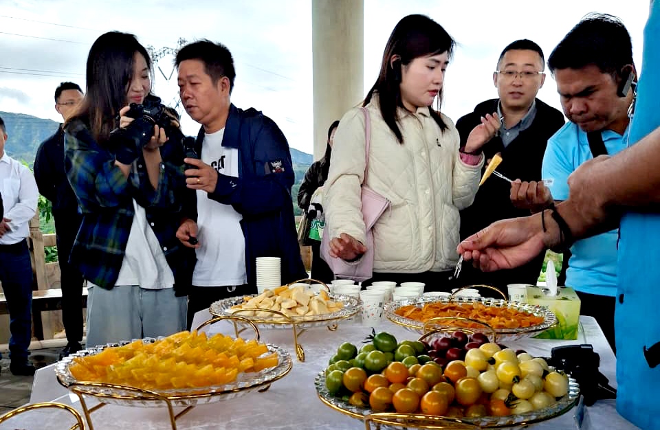Harian Disway di China International Press Communication Center (CIPCC) (64): Pesta Buah di Tengah Kebun