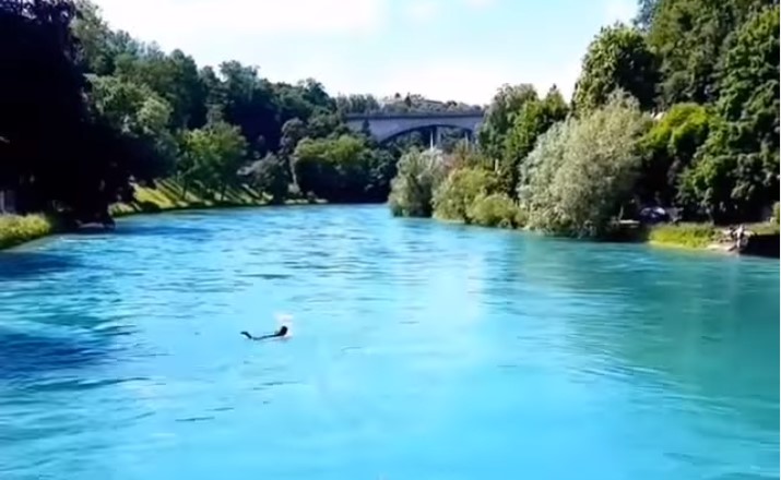 Sekilas Potret Sungai Aare Swiss; Bersih, Deras, Lebar dan Biasa Dipakai Berenang Wisatawan