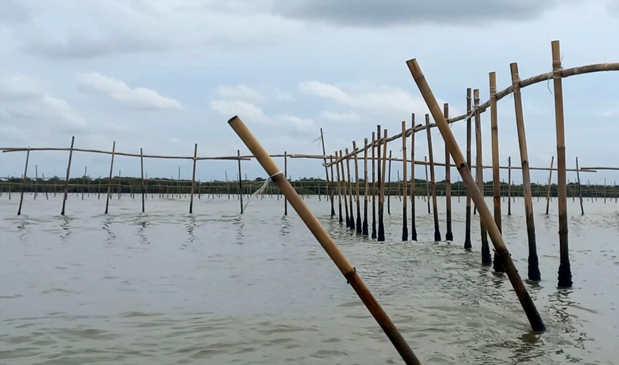 Pagar Laut Tangerang Bagian dari Proyek Besar Reklamasi, Walhi: Luasnya Mencapai 9.000 Hektare 