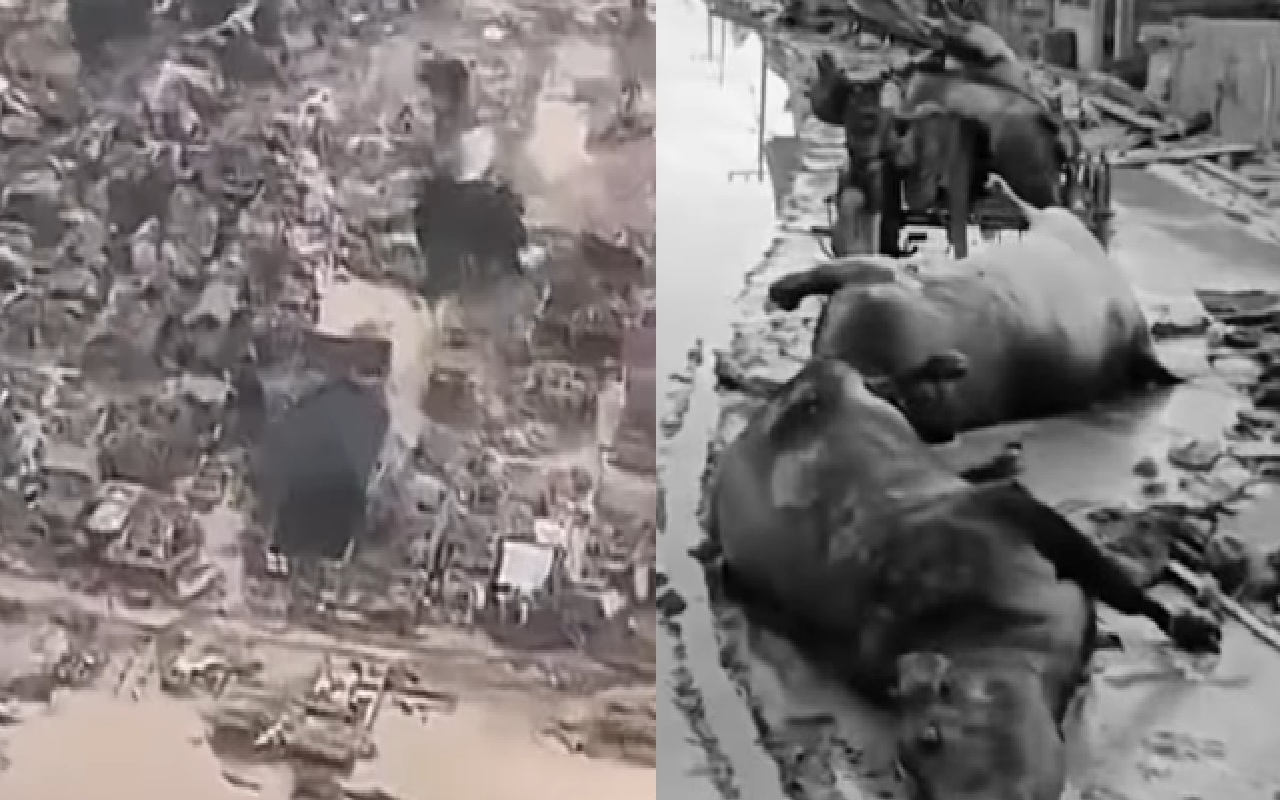 Mencekam! Aceh Tamiang Gelap Gulita Bak Kota Zombie, Warga Bertahan Hidup dari Genangan Banjir