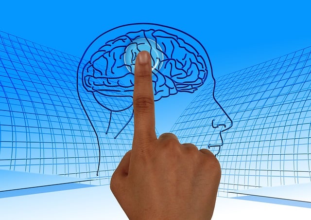 Simak 14 Fakta Menarik Tentang Otak Manusia yang Pasti Belum Pernah Anda Ketahui