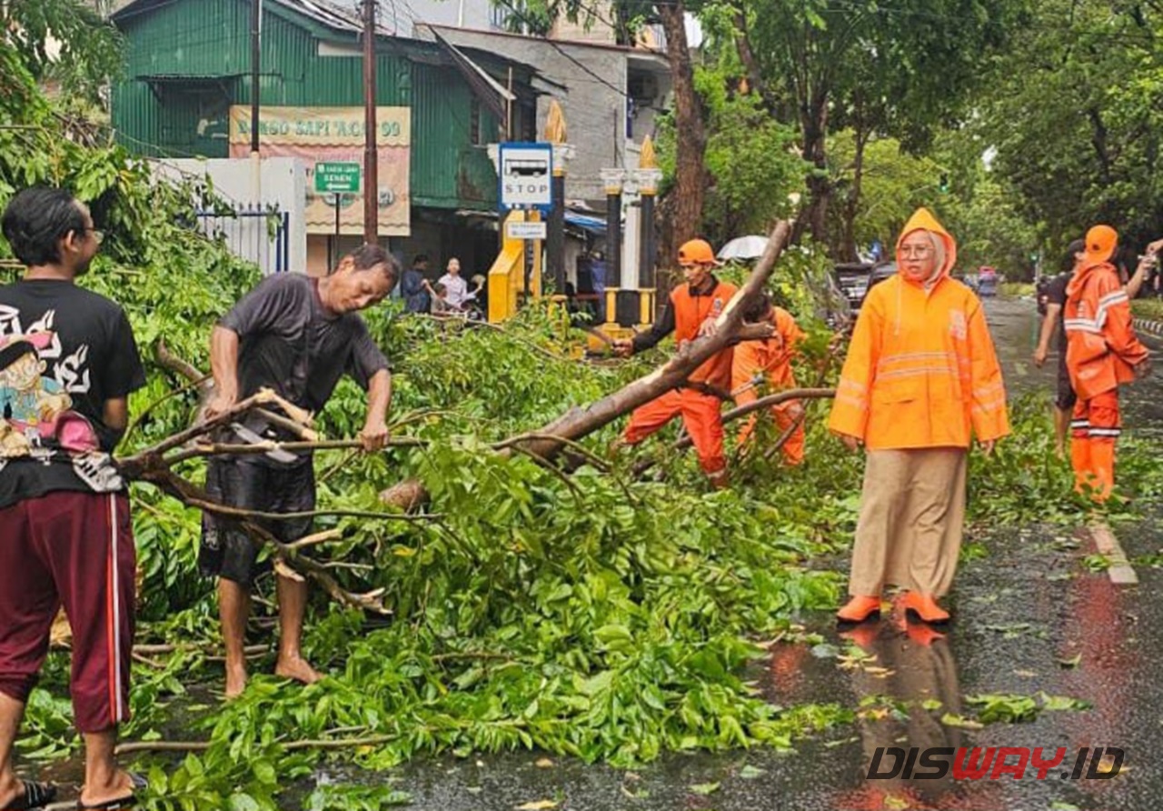 Pemprov DKI Siapkan Santunan hingga Rp50 Juta bagi Korban Pohon Tumbang