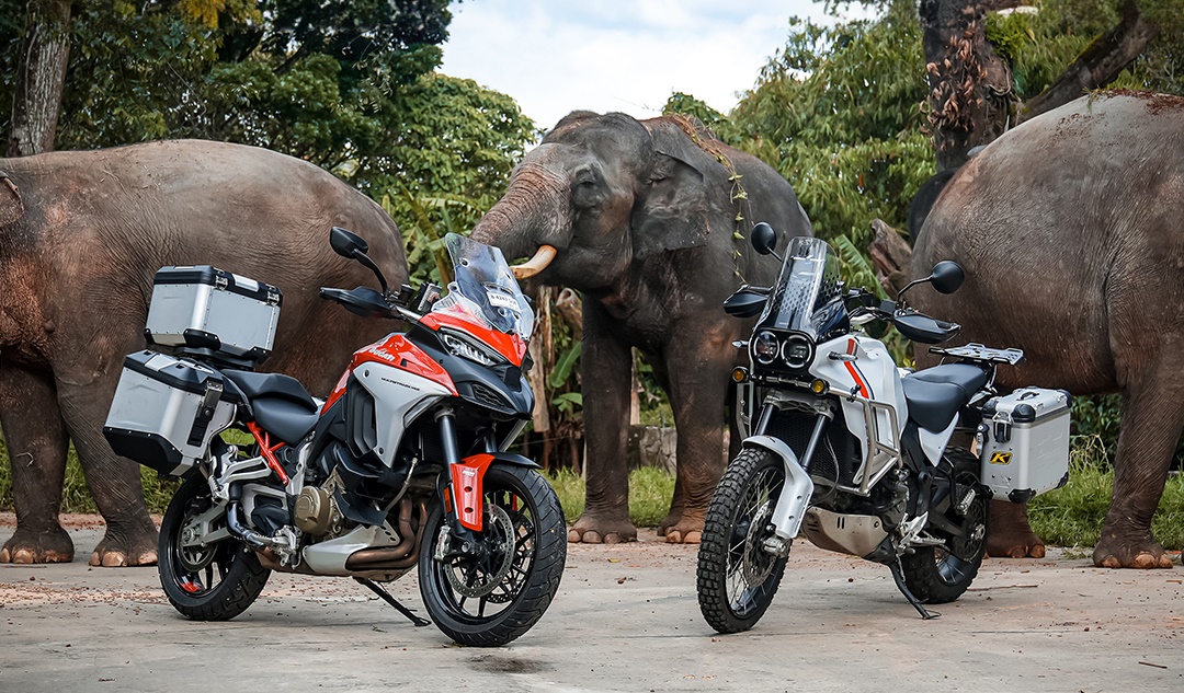 #DucatiAtSafari, Kampanye Ducati Tantang Pecinta Adventure Riding di Taman Safari Indonesia