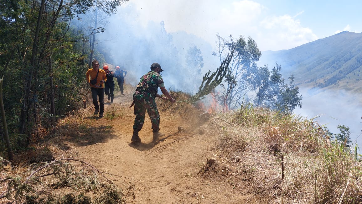 Gunung Bromo Kebakaran, Beberapa Akses Wisata Ditutup