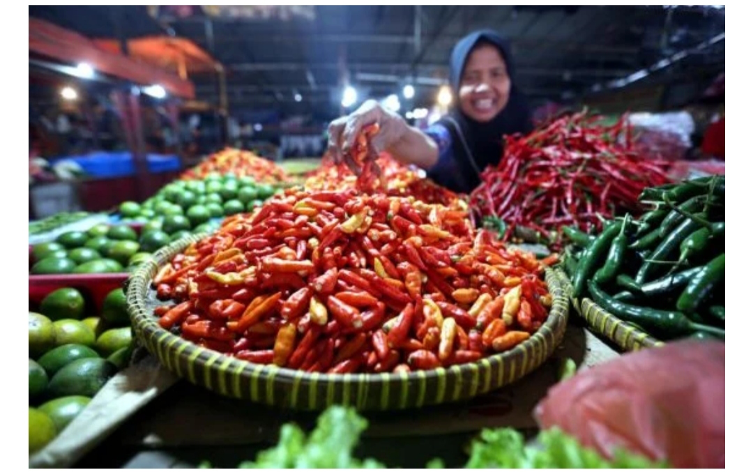 Tahun Baru, Harga Cabai Rawit di Kota Bengkulu Capai Rp 45 Ribu per Kilo