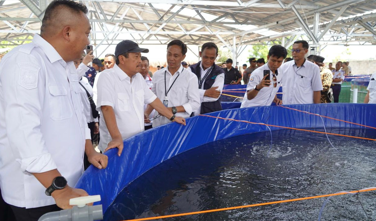 Program Budidaya Tematik KKP - KDKMP Siap Suplai Ikan untuk MBG