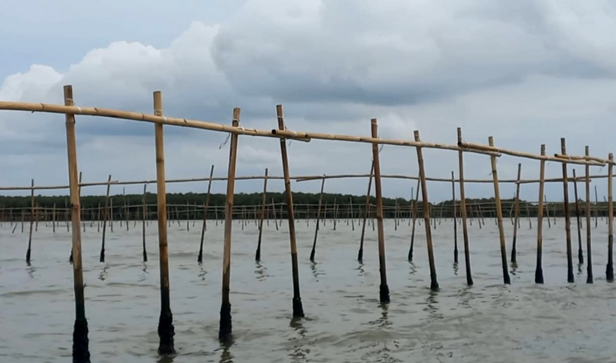 KKP Sayangkan Pembongkaran Pagar Laut Tangerang: Bisa Kaburkan Proses Hukum