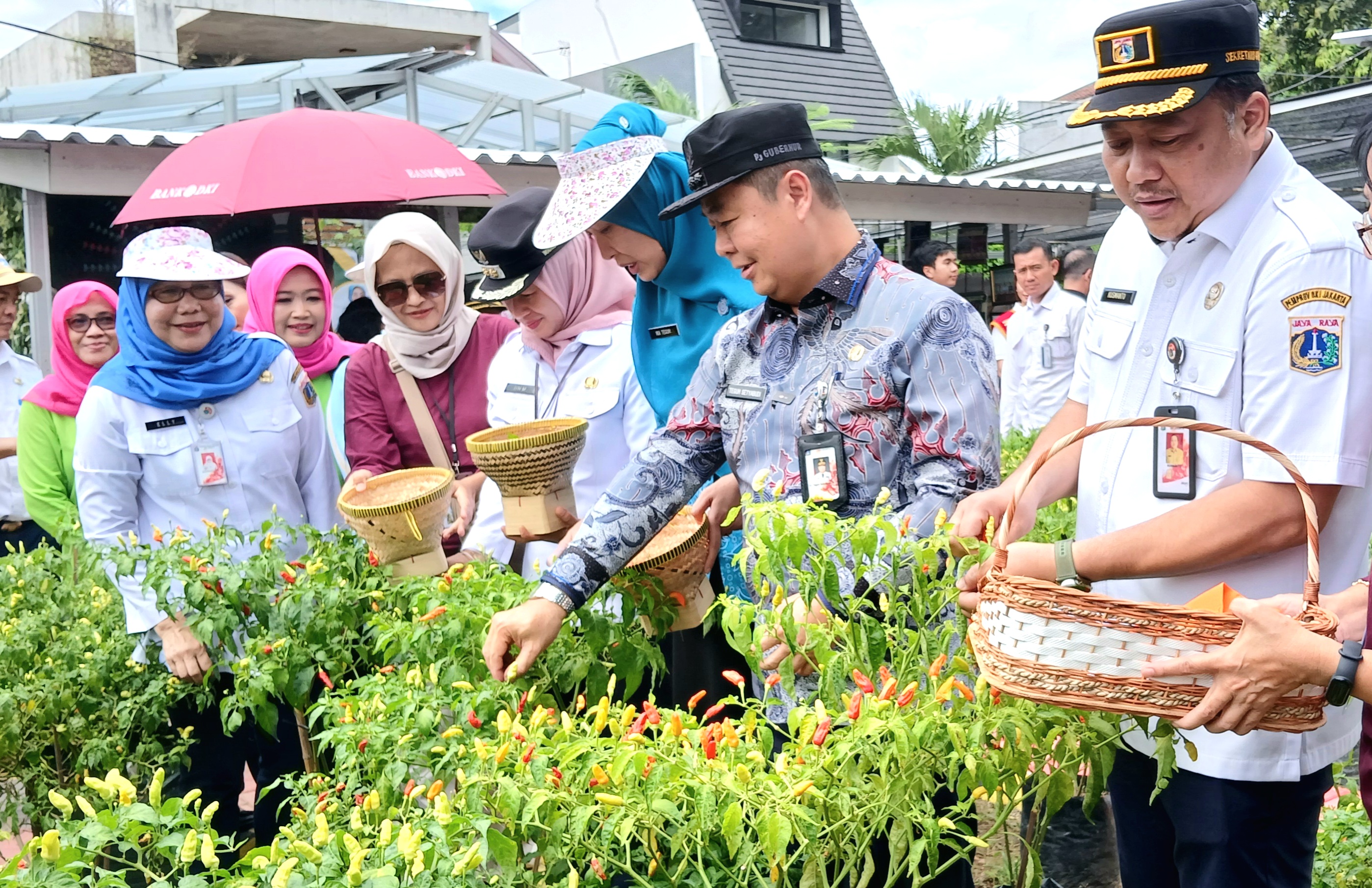 Panen Raya Serentak, Pemprov DKI Hasilkan 124,6 Ton Komoditi dari 240 Urban Farming