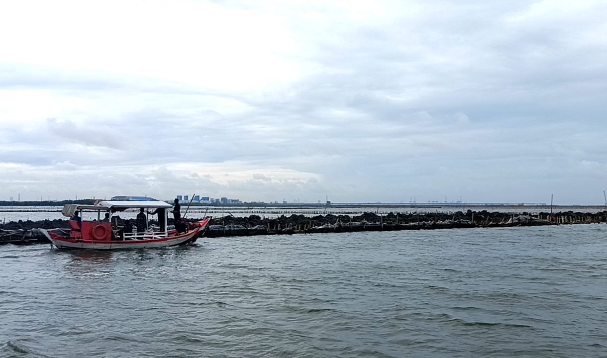 Hubungan Wakil Ketua Komisi IX DPR RI dengan PT MAN Pemilik SHGB Lahan Pagar Laut Bekasi Dibongkar Netizen