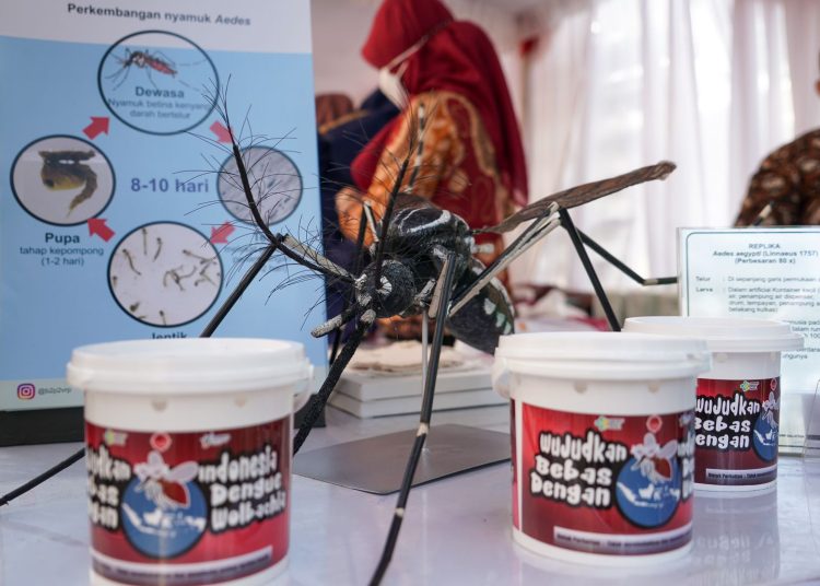 Entomolog ITB Jamin Nyamuk Wolbachia Aman Untuk Jangka Panjang