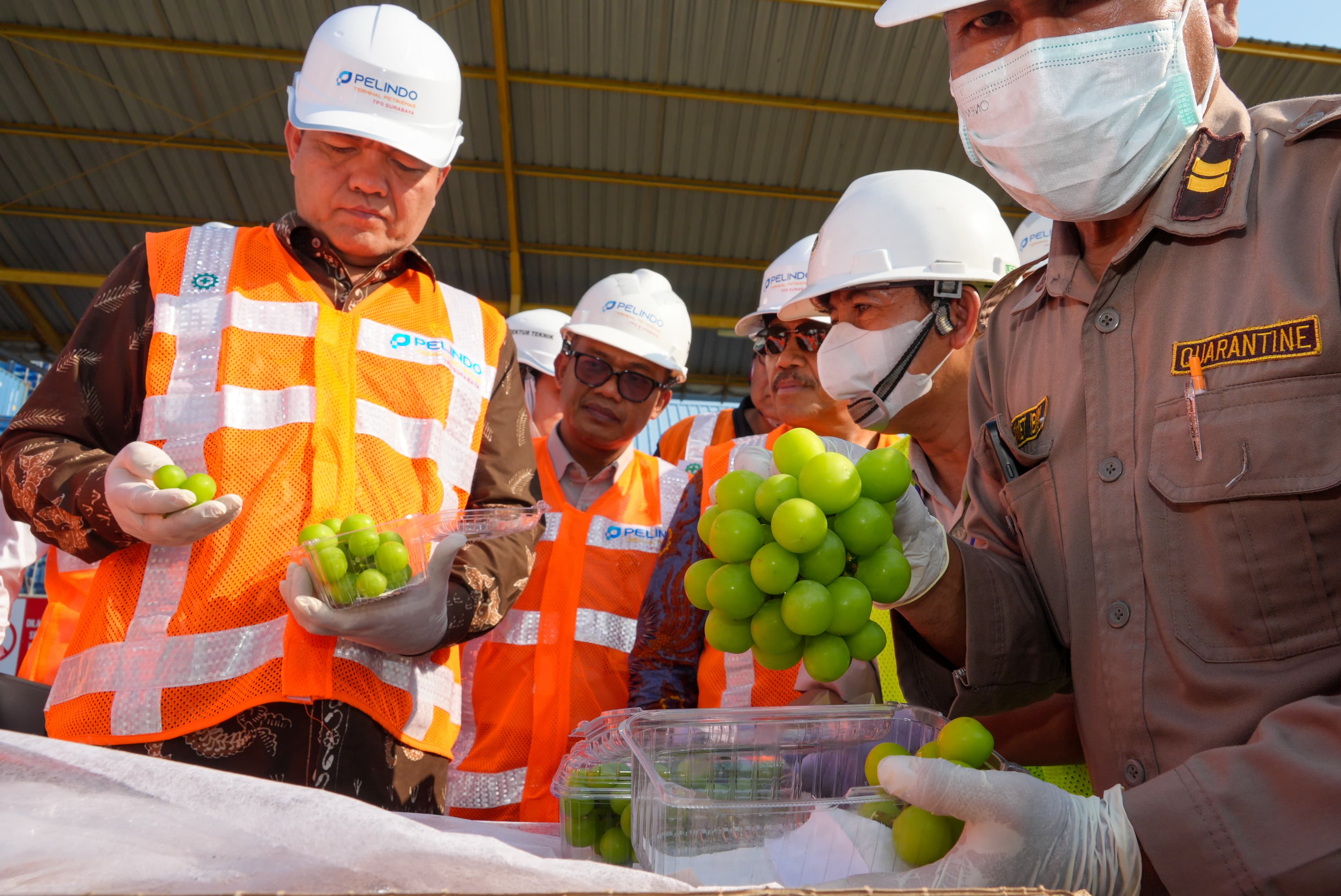 Badan Karantina Indonesia Pastikan Anggur Shine Muscat yang Beredar di Indonesia Aman