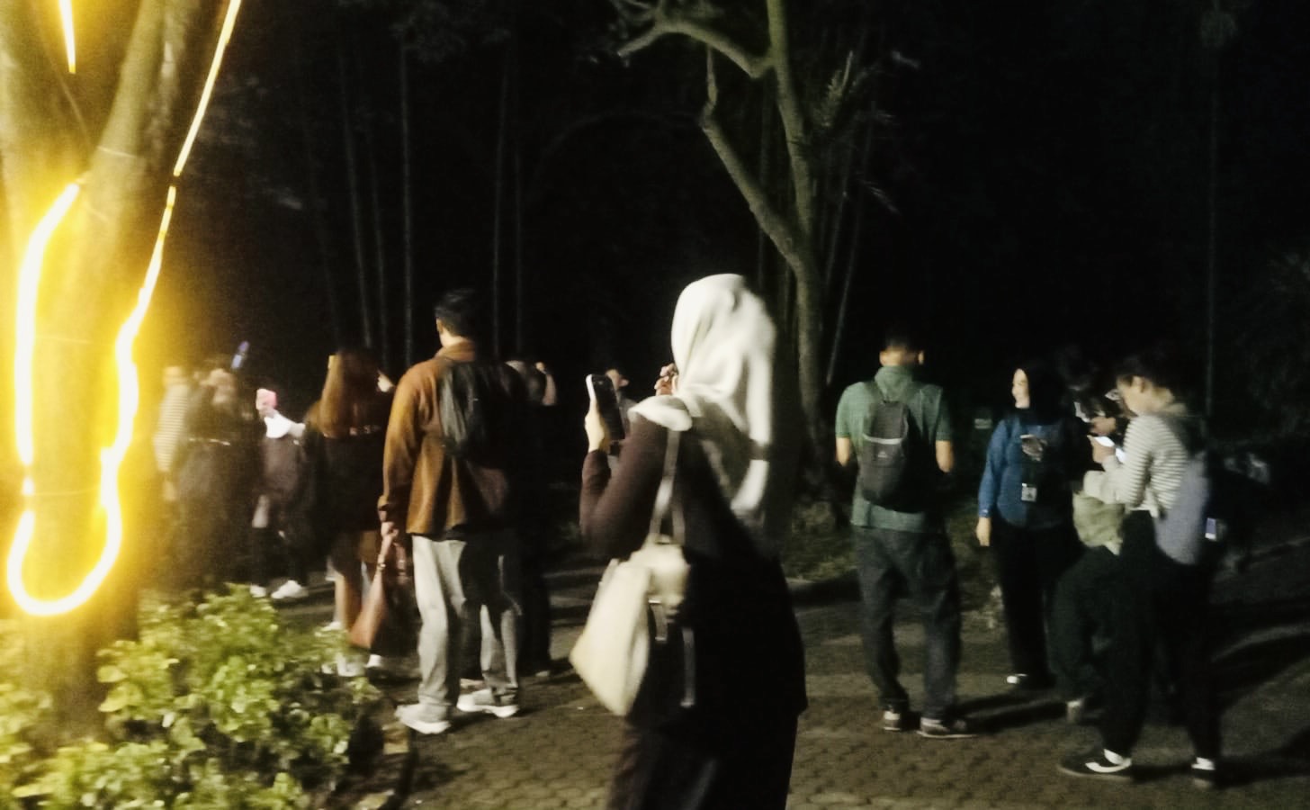 Jalan-Jalan ke Night at Ragunan Zoo, 3.713 Pengunjung Antusias ke Kandang Satwa Nocturnal