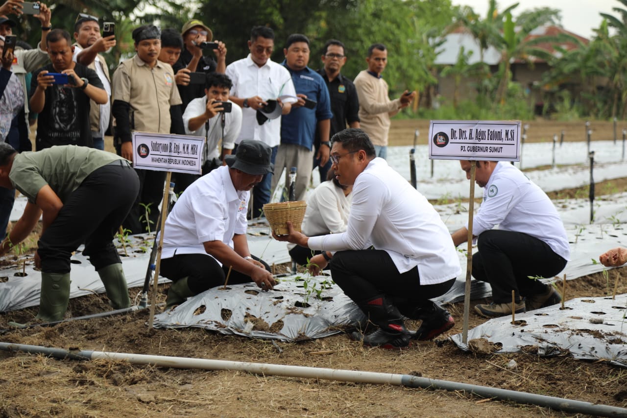 Kementan: Potensi Lahan Tidur di Deli Serdang Mampu Cukupkan Kebutuhan Pangan