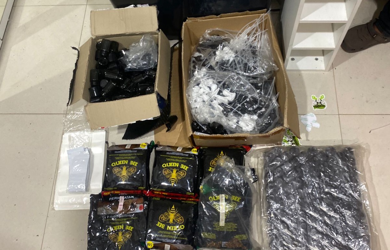 Jualan Lewat Medsos, Pelaku Tembakau Sintetis Dibekuk di Senen