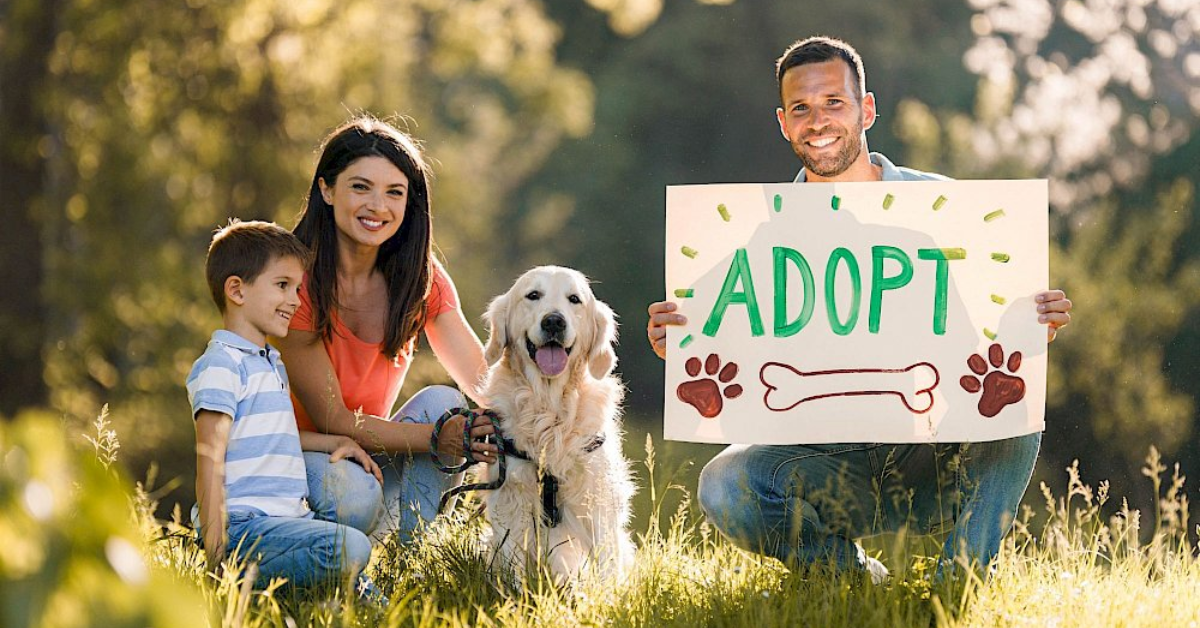 Adopt, Don’t Shop! Gerakan Global yang Mengubah Cara Kita Mencintai Hewan