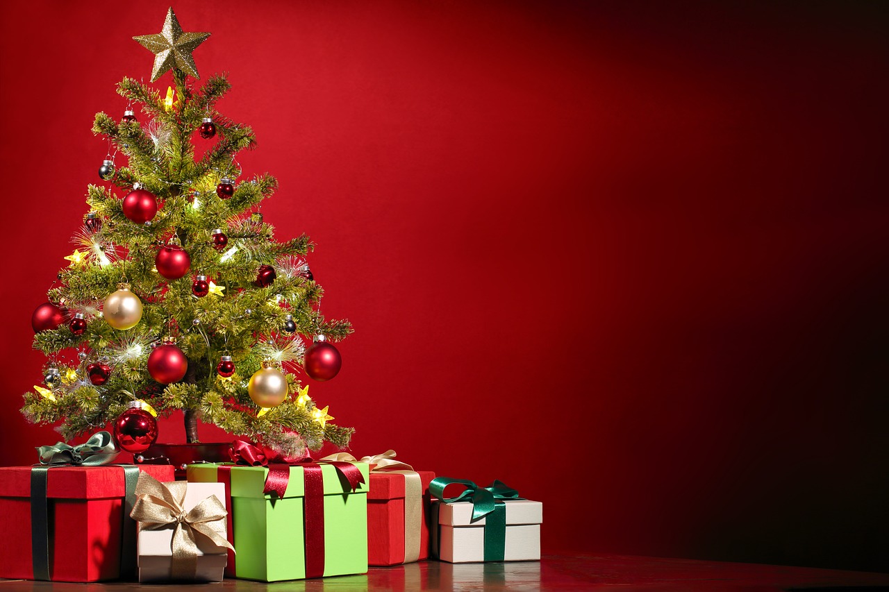 Tips Memilih Pohon Natal yang Tepat, Bikin Rumah Cantik dan Hangat di Momen Spesial
