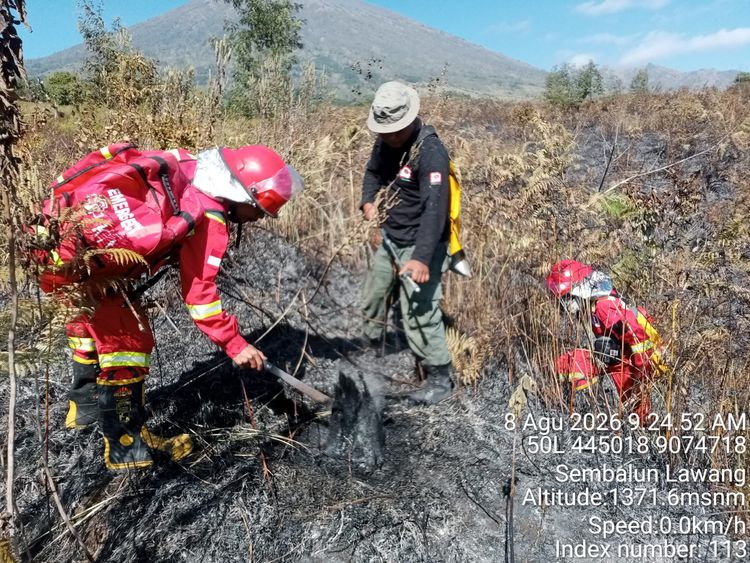 Kebakaran Hutan Terjadi di Banyumas dan Rinjani, Api Berhasil Dipadamkan