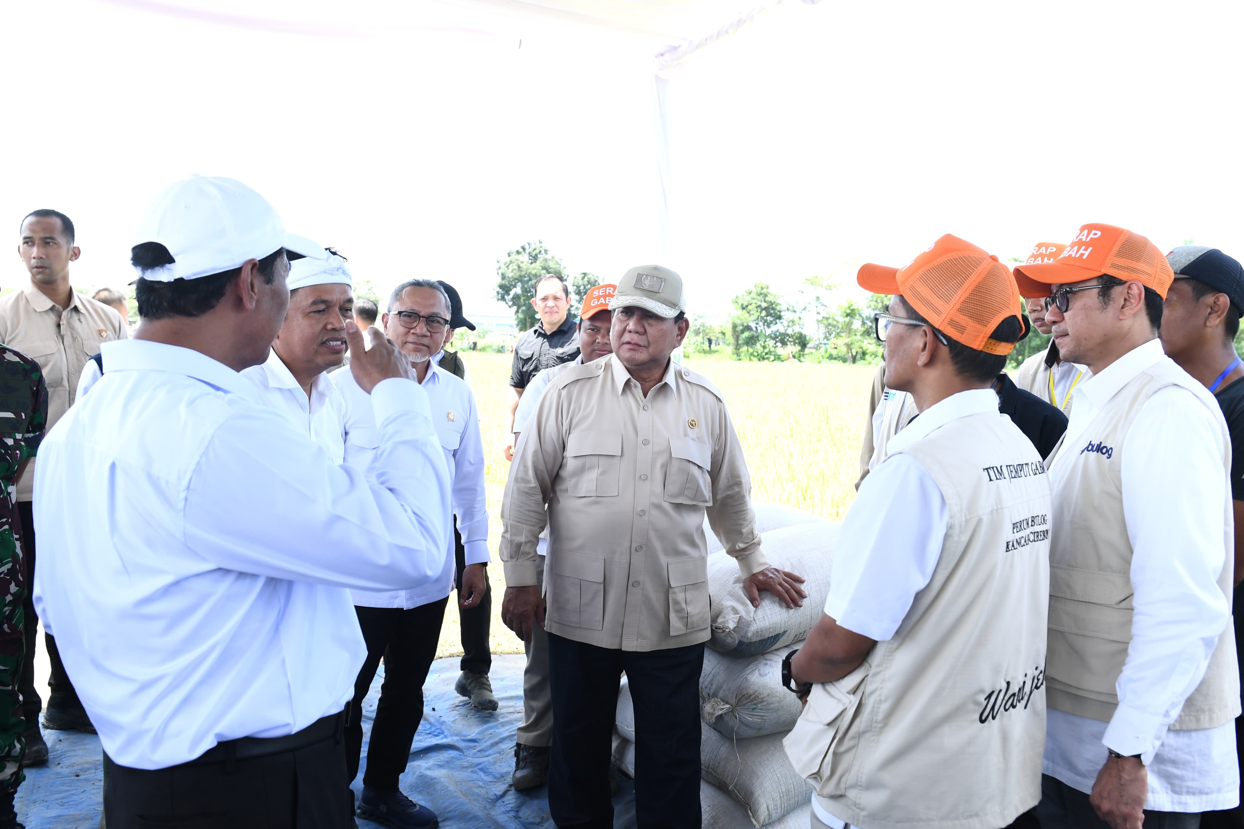 Prabowo Beri 1.000 Burung Hantu, Bantu Petani Atasi Hama Tikus di Majalengka