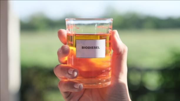 Sentinel: Harus Ada Klarifikasi Soal Proses Produksi Solar B40 Performance