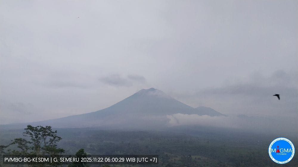 Status Semeru Masih Awas Level IV, Terjadi 4 Letusan dan 1 Guguran Pagi Ini