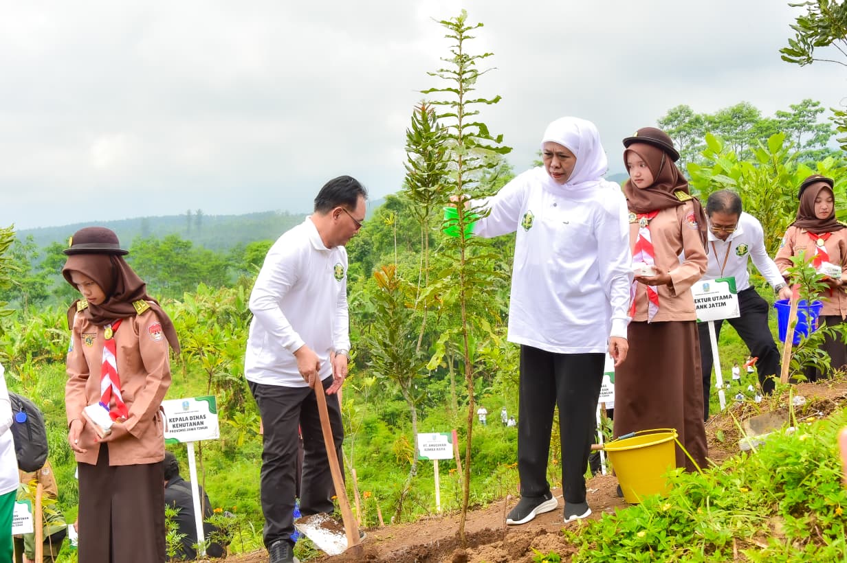 Khofifah Tanam 5.000 Pohon di Lereng Semeru, Komitmen Kejar Target Net Zero Emission