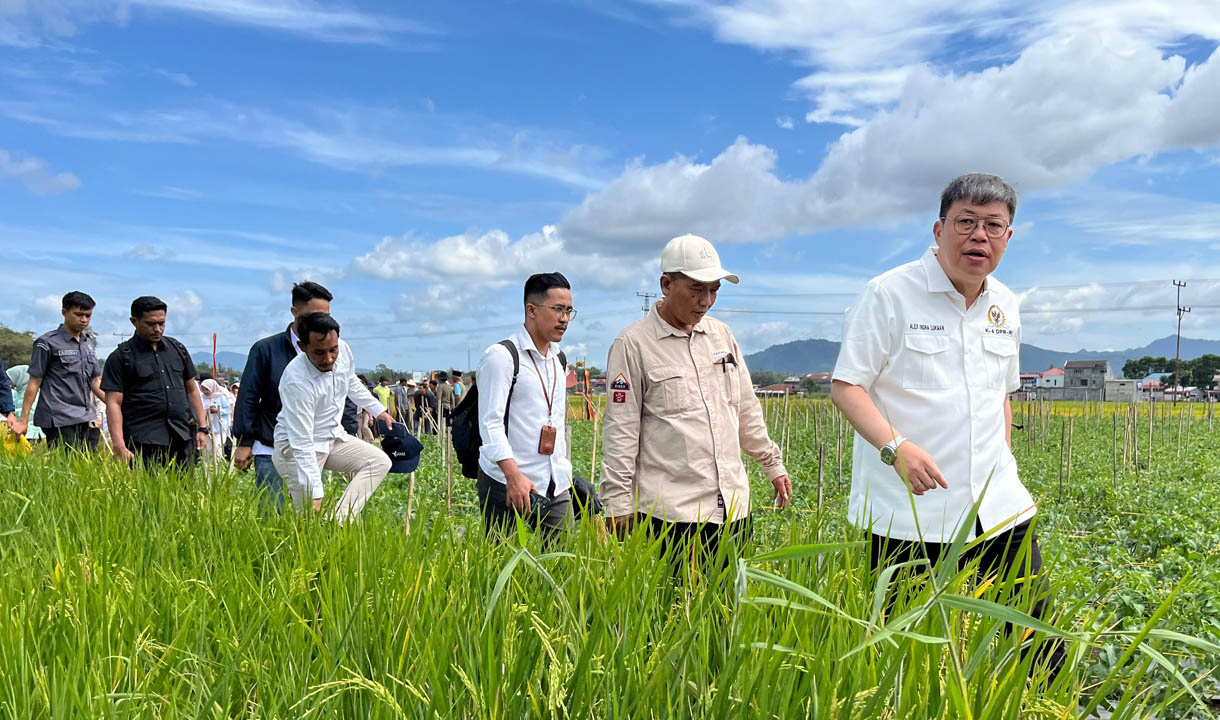 Komisi IV DPR RI Dorong Nasionalisasi Sawah Pokok Murah untuk Dukung Ketahanan Pangan
