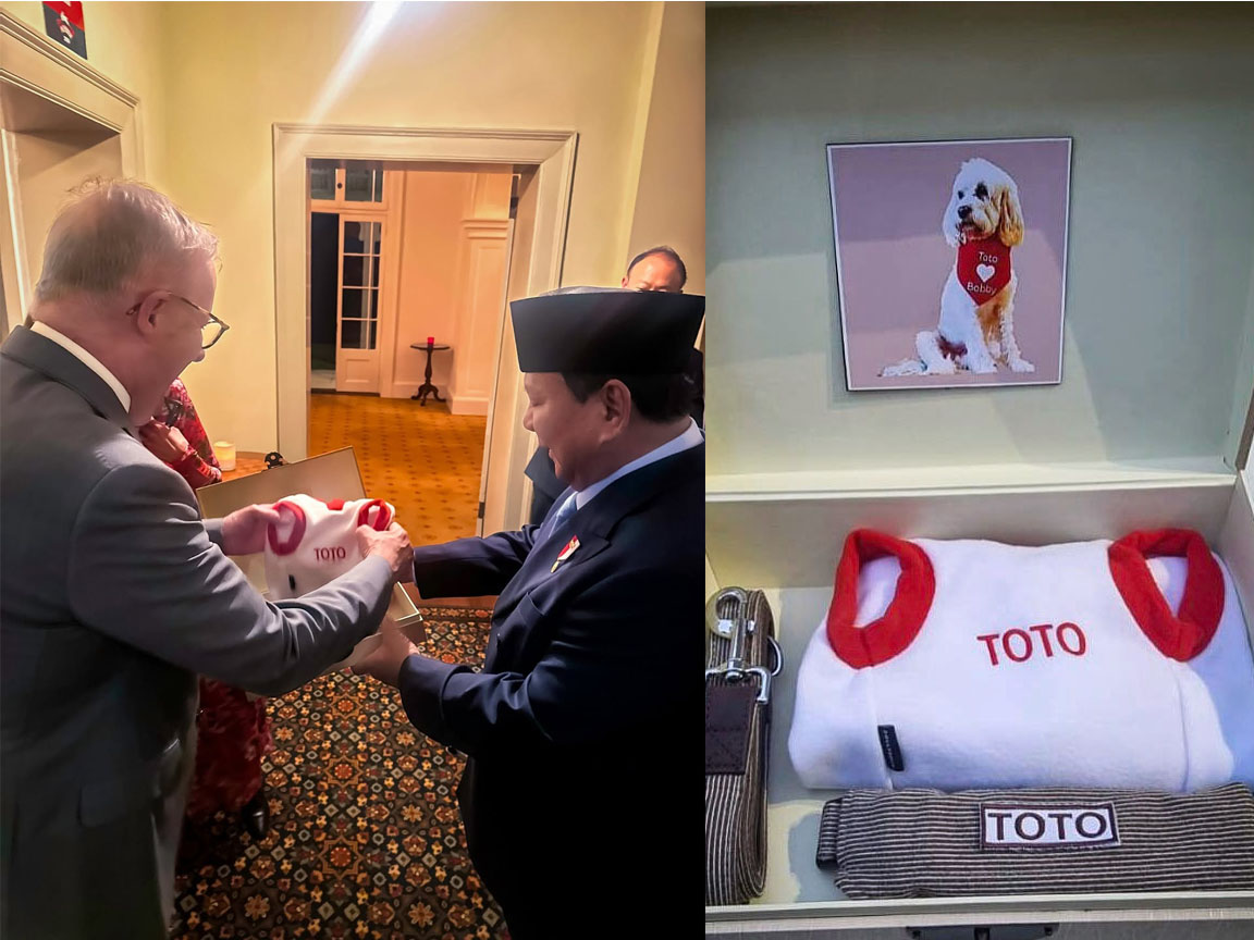 Prabowo Hadiahi Toto, Anjing Kesayangan PM Albanese Kaos Merah Putih dan Tali