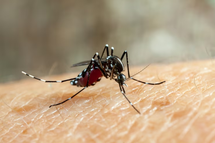 Ada Apa Tiap 25 April? Ada Hari Malaria sampai Hari Penguin!