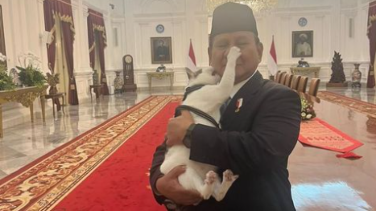 Gemas! Kucing Istana Bobby Kertanegara Berani Cakar dan Gigit Presiden Prabowo 