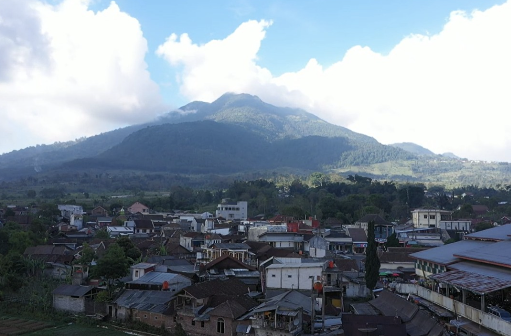 Mengenal Desa BRILian Sumowono, Desa Sayur yang Tumbuh dan Terus Berinovasi Bersama BRI 