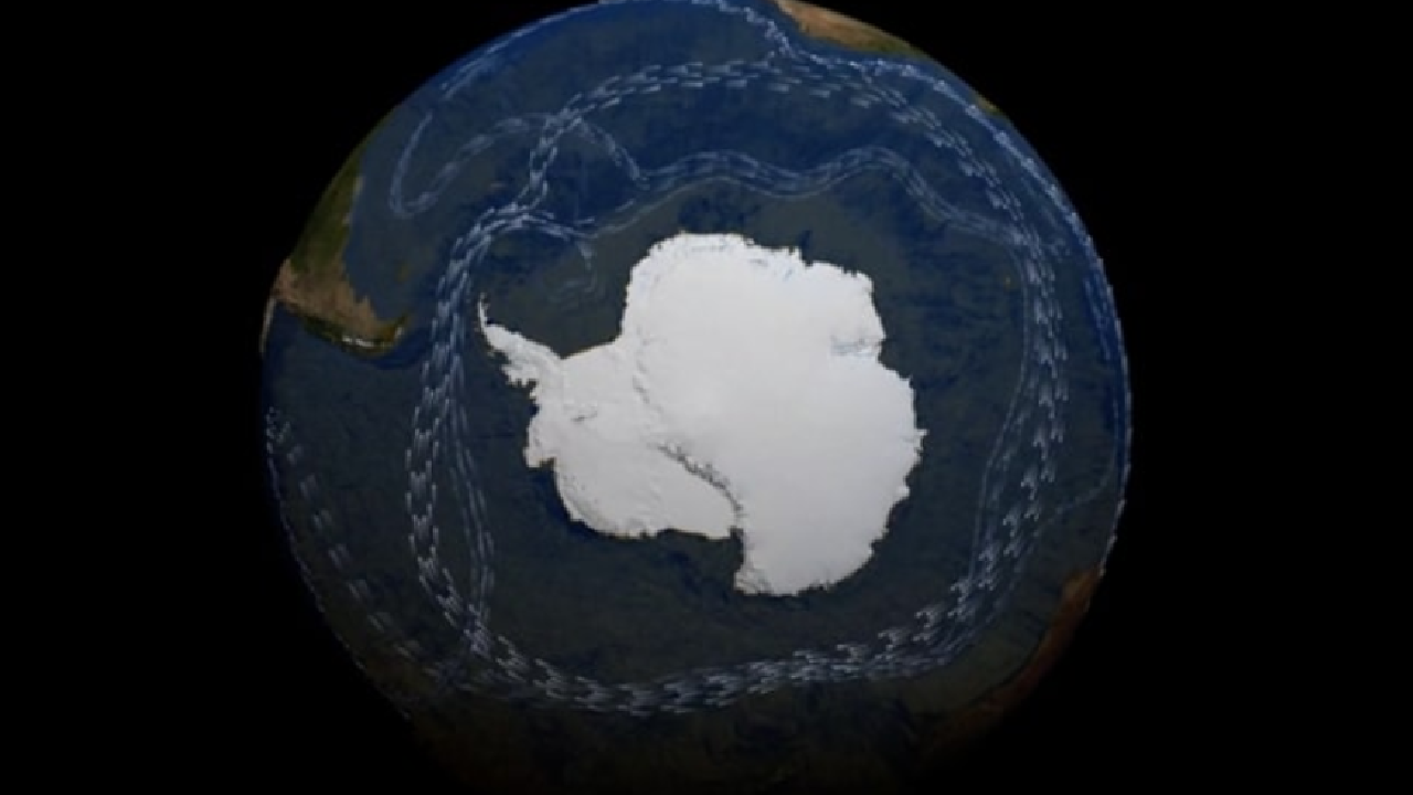 Apa Itu Arus Sirkumpolar Antartika yang Bisa Picu Kenaikan Permukaan Laut hingga 9 Meter? Simak Informasinya