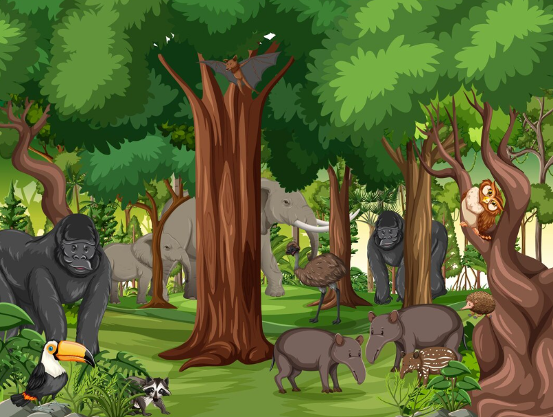 5 Alasan Hutan Biodiversitas Sangat Penting bagi Kehidupan