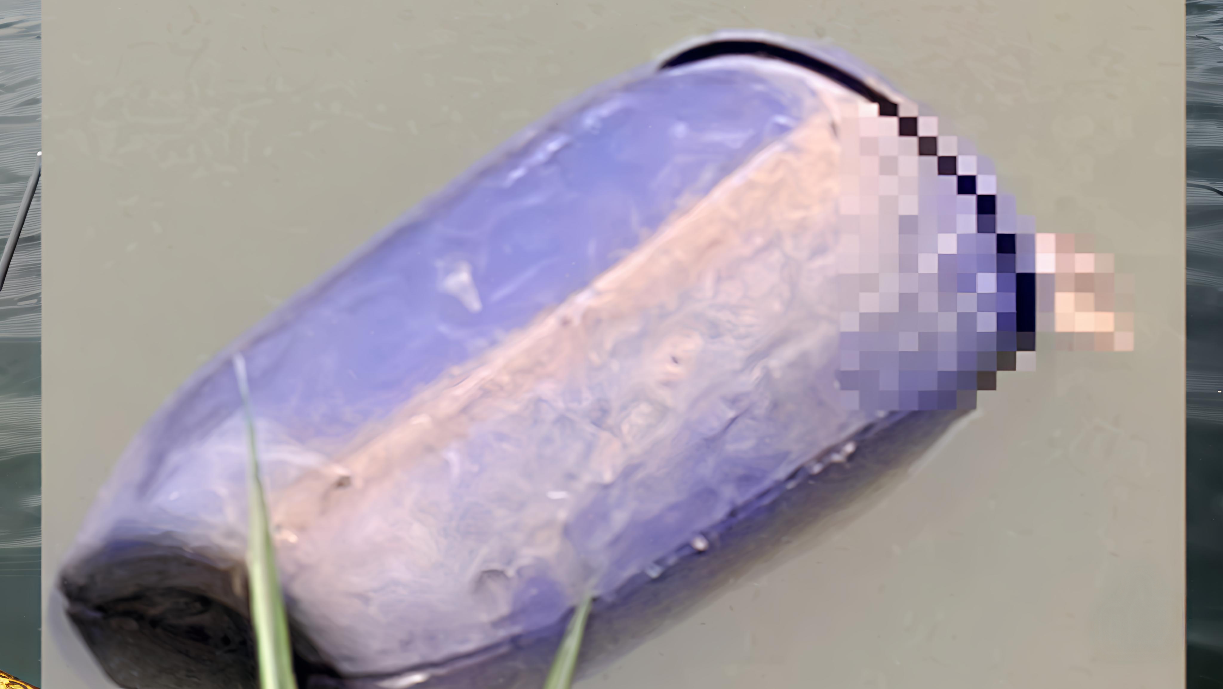 Geger Mayat Perempuan dalam Drum Mengambang di Sungai Cisadane