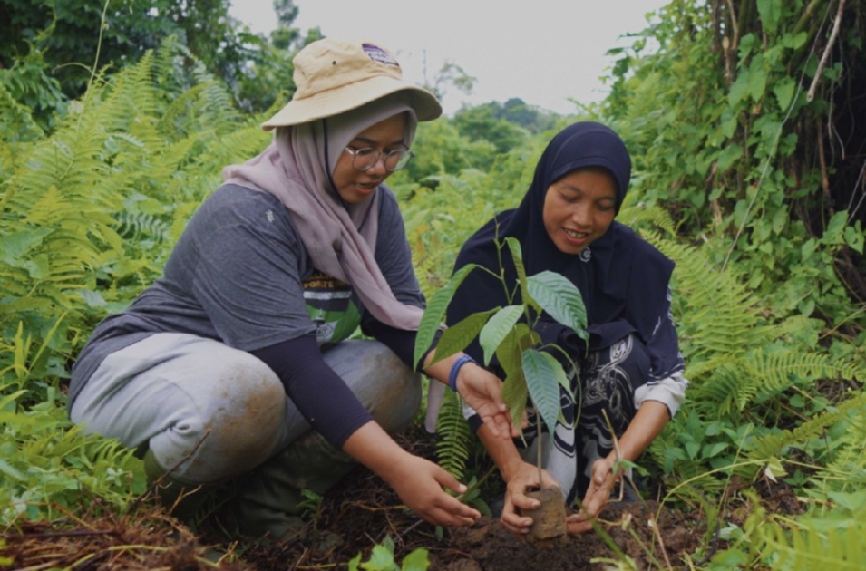 Dari Panggung Fashion ke Hutan Leuser, Sejauh Mata Memandang dan AIA Restorasi 10 Hektar Lahan