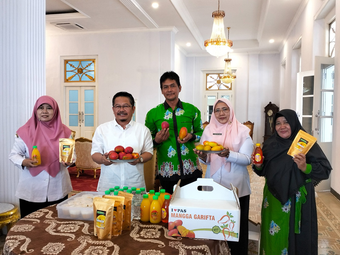 Setelah Mangga Alpukat, Kini Pasuruan Punya Mangga Pisang 