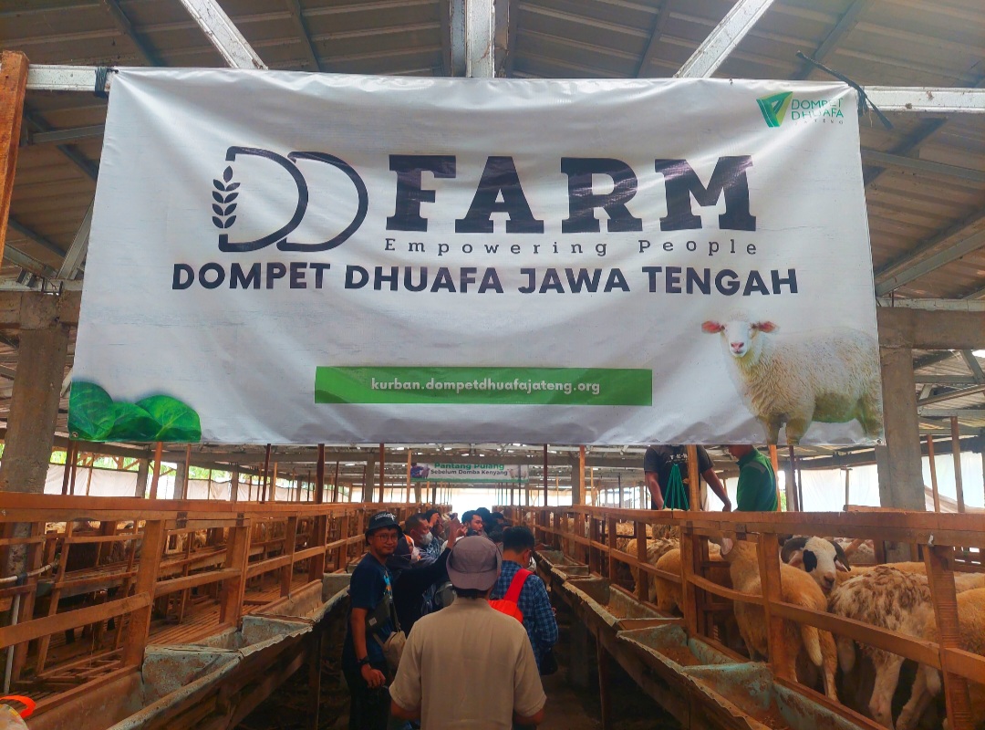 Terobosan Dompet Dhuafa Tebar Hewan Kurban di Jateng, DD Farm Distribusikan ke 15 Titik