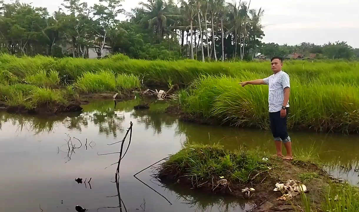 Kronologi Bocah Digigit Buaya Muara Sepanjang 2 Meter di Desa Kohod Tangerang Dibeberkan Warga