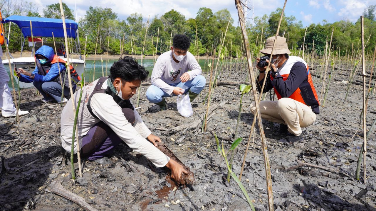 Strategi Hijau Pertamina di Hari Bumi 2026: Dari Desa Mandiri hingga Sejuta Pohon
