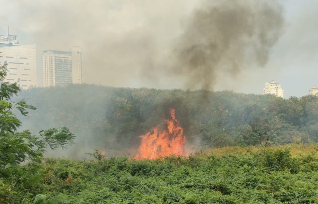 Lahan Kosong di Kemayoran Kebakaran, Gulkarmat Terjunkan 11 Unit Kendaraan Pemadam