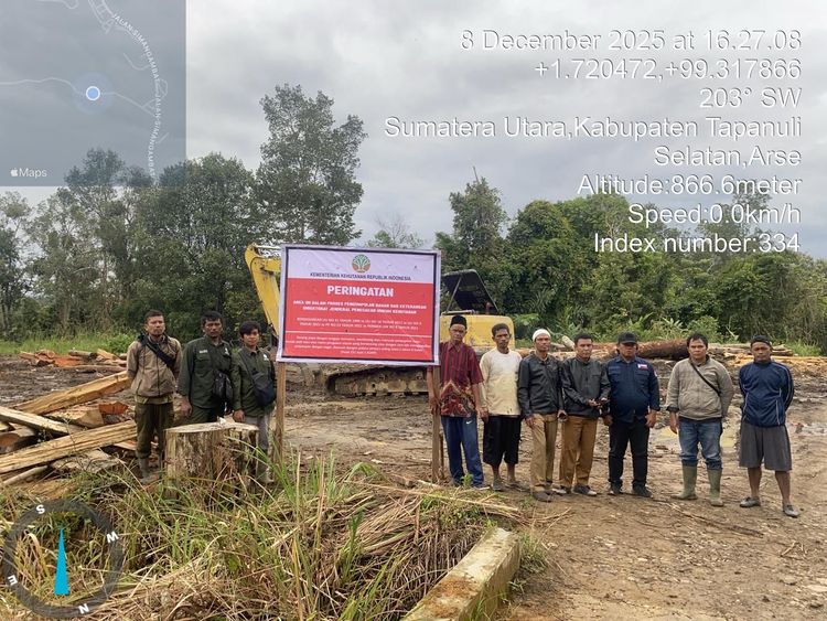 Kemenhut Segel 3 PHAT, 11 Entitas Perusahaan Diduga Langgar Tata Kelola Hutan Pemicu Banjir
