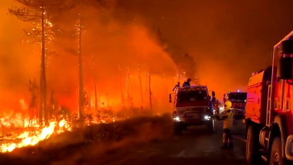 Kebakaran Hebat Lalap Hutan Prancis, Ribuan Penduduk Dievakuasi