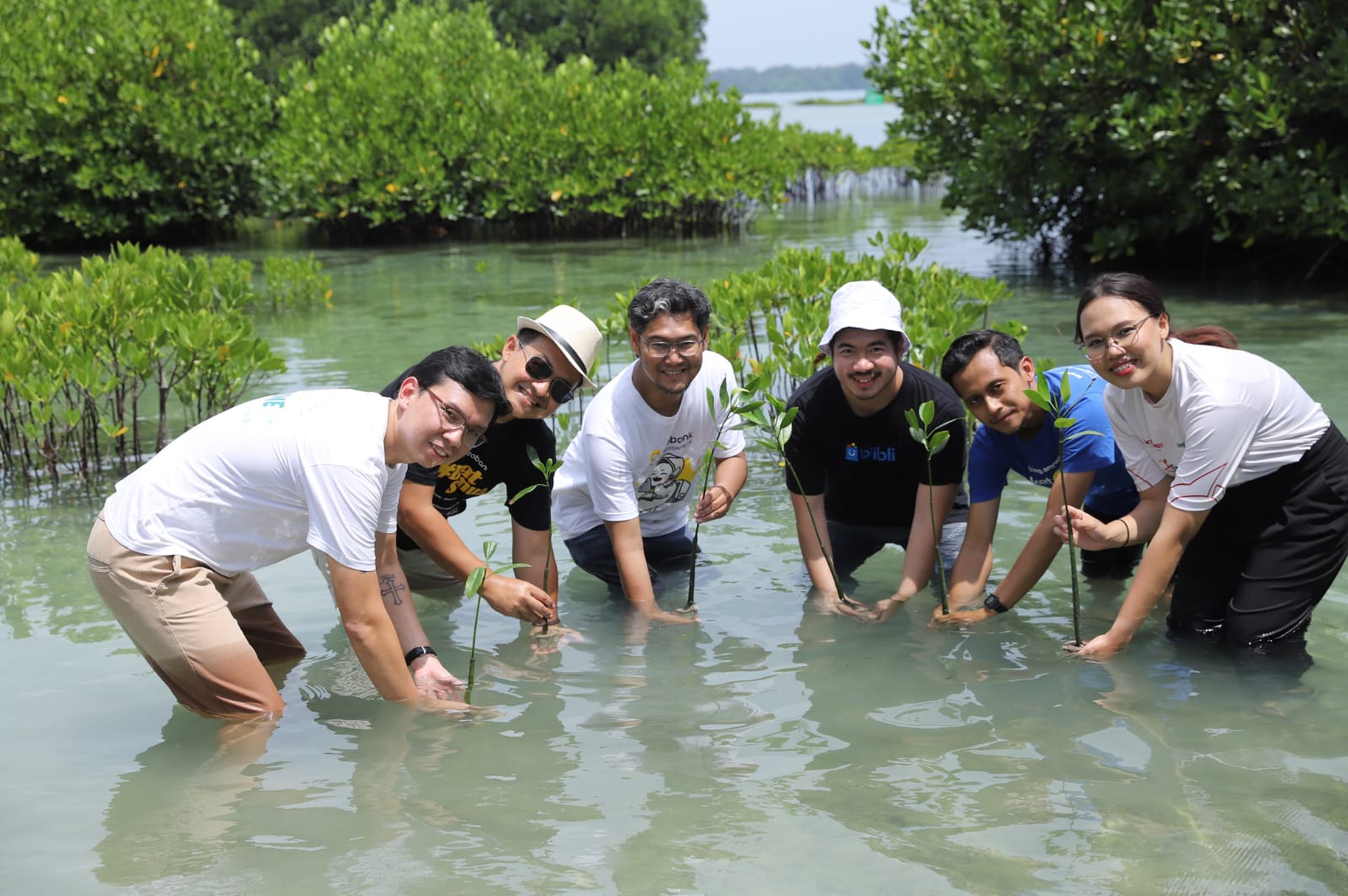 Dorong Nol Emisi Karbon, 7.000 Pohon Mangrove Ditanam di Pulau Harapan