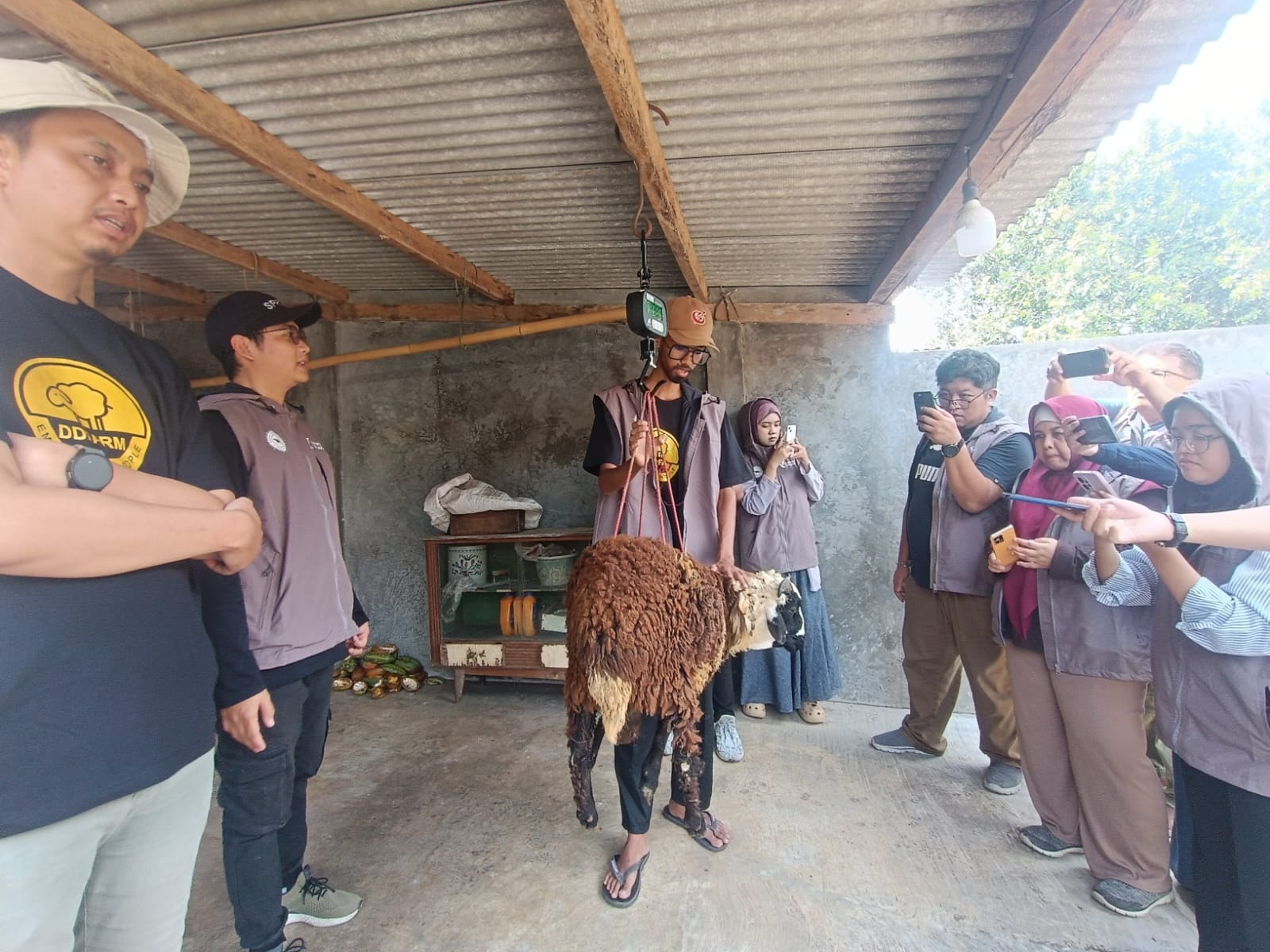 Tebar Hewan Kurban Hidupkan Sektor Ekonomi Peternak Melalui Berdayakan Peternak Lokal