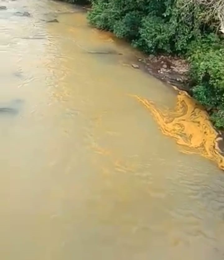 Sungai Bintunan Diduga Tercemar Limbah dari Perusahaan